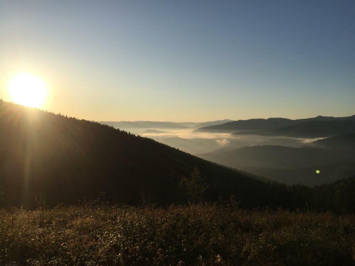 Садиба Червона Калина Private Estate Chervona Kalyna Yaremche Dış mekan fotoğraf