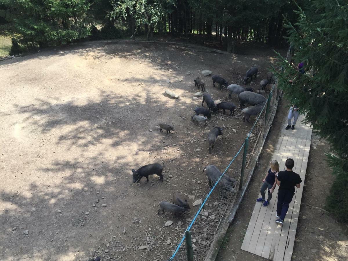 Садиба Червона Калина Private Estate Chervona Kalyna Yaremche Dış mekan fotoğraf